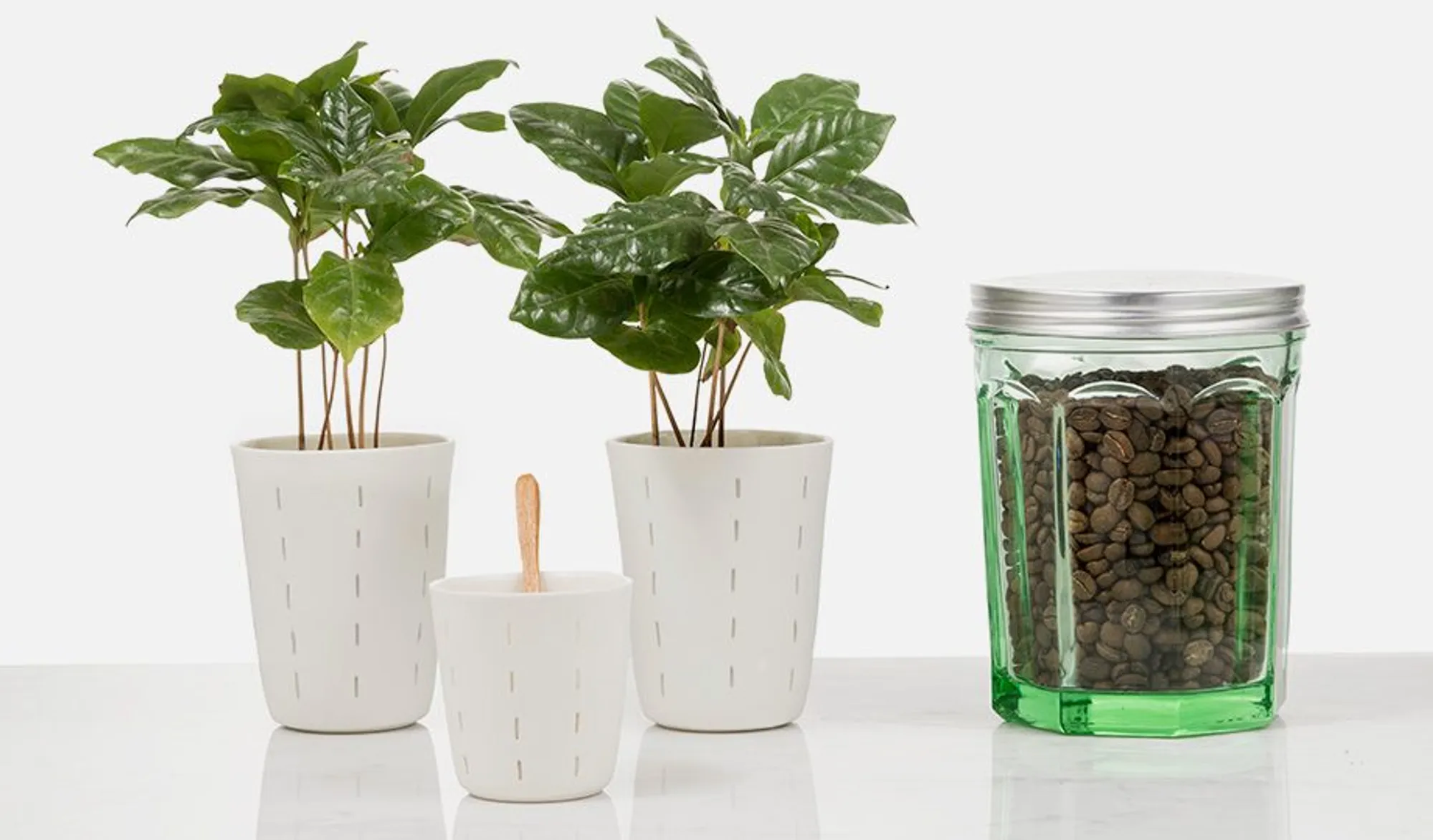 Mokarico biologisch koffiebonen firenze